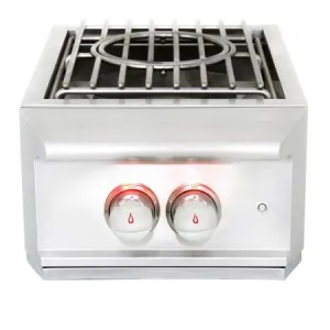 Blaze Professional Built in Power Burner