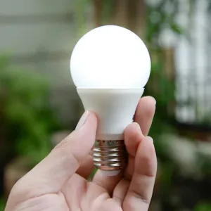 Led Bulb High Power Led Bulb 3w Bulb For Indoor & Outdoor Use